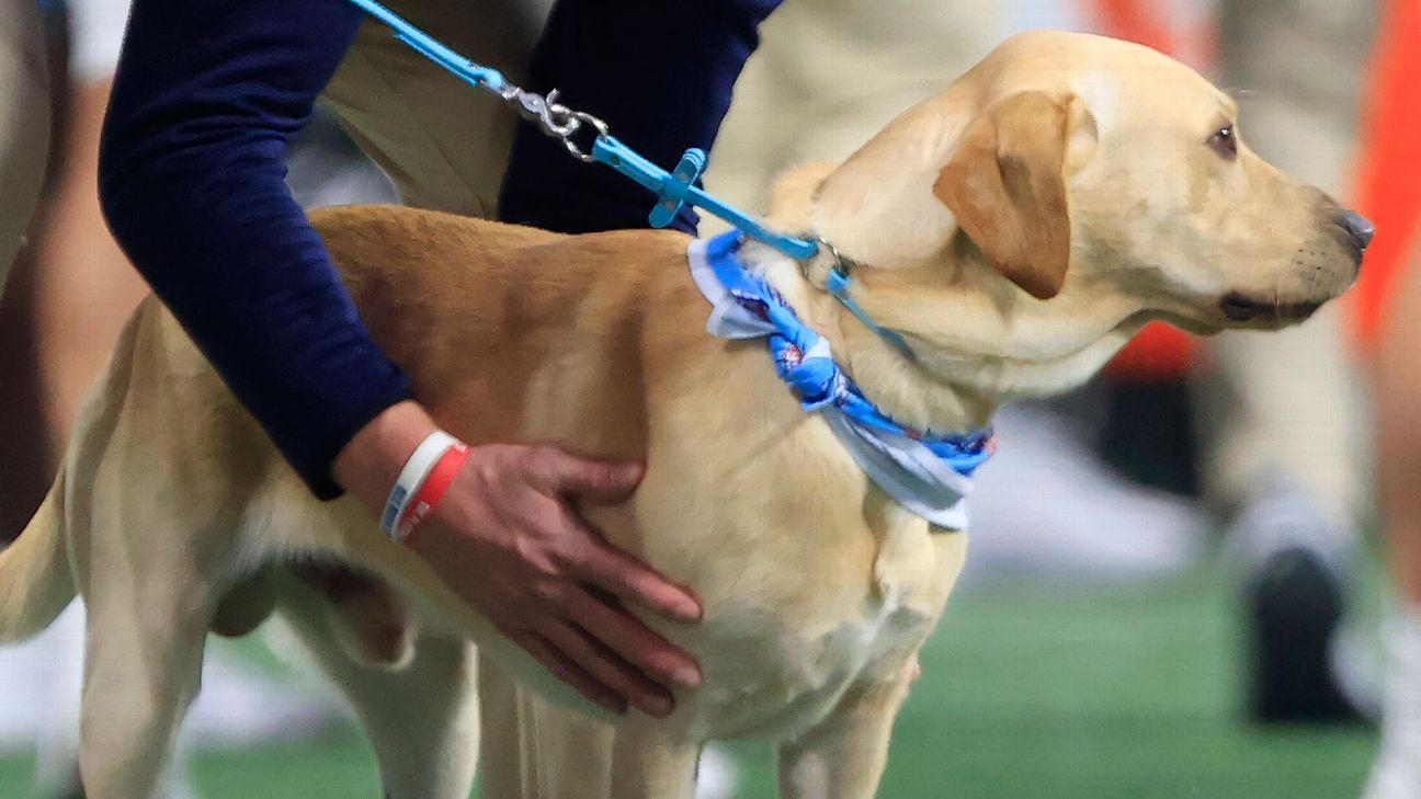 Lane Kiffin's dog takes to X after losing Ole Miss kickoff duty