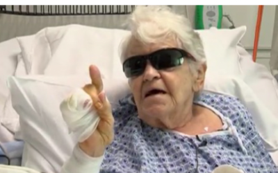 84-Year-Old Woman Fights Off Alligator to Save Dog • Hollywood Unlocked