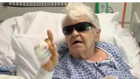 84-Year-Old Woman Fights Off Alligator to Save Dog • Hollywood Unlocked