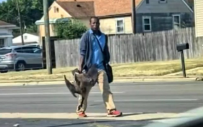 Ohio Division of Wildlife Reveal Truth Behind Man Holding Two Geese Photo • Hollywood Unlocked