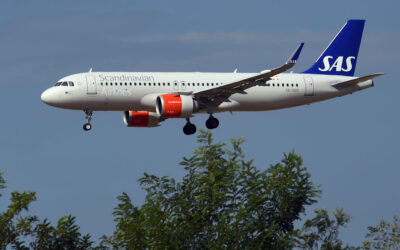 A Scandinavian Airlines flight made an emergency landing after a mouse jumped out of a meal