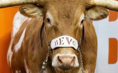 Texas, Ohio State, Oregon atop AP Top 25 after stunners