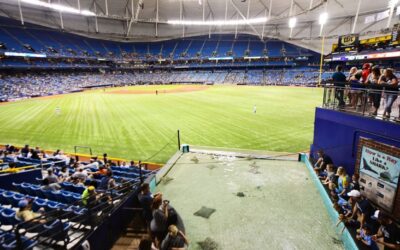 Tropicana Field stingrays safely reach aquarium after Milton