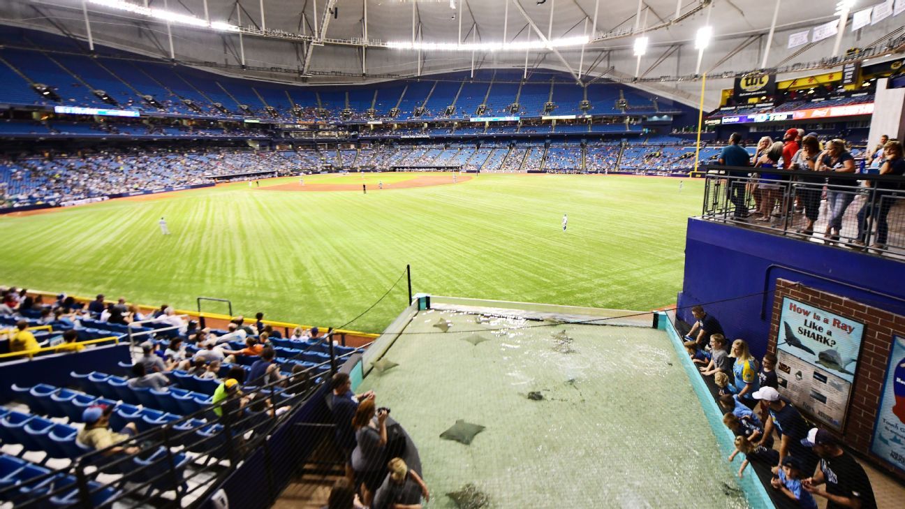 Tropicana Field stingrays safely reach aquarium after Milton