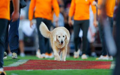 Kirk Herbstreit's dog Ben steals the show in college football