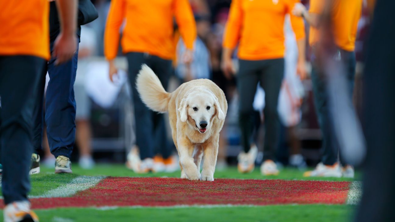 Kirk Herbstreit's dog Ben steals the show in college football