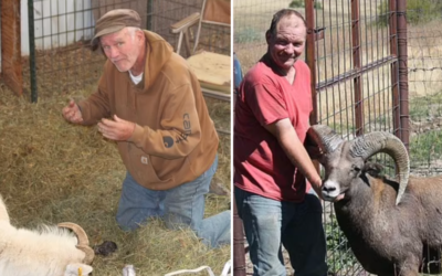 A man has been sentenced to six months in prison for cloning a big sheep and breeding its offspring