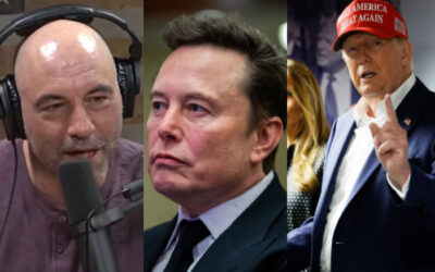 Joe Rogan Reveals Elon Musk Developed An App That Predicted Trump's Election Victory Hours Ahead of Announcement • Hollywood Unlocked