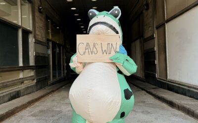 The secret to the Cleveland Cavaliers' surge? A frog