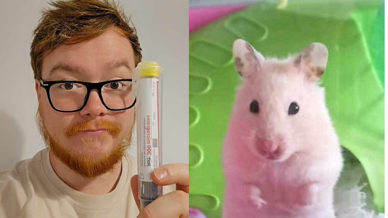 Man Nearly Dies After Hamster Bite Triggers Rare Allergic Reaction • Hollywood Unlocked