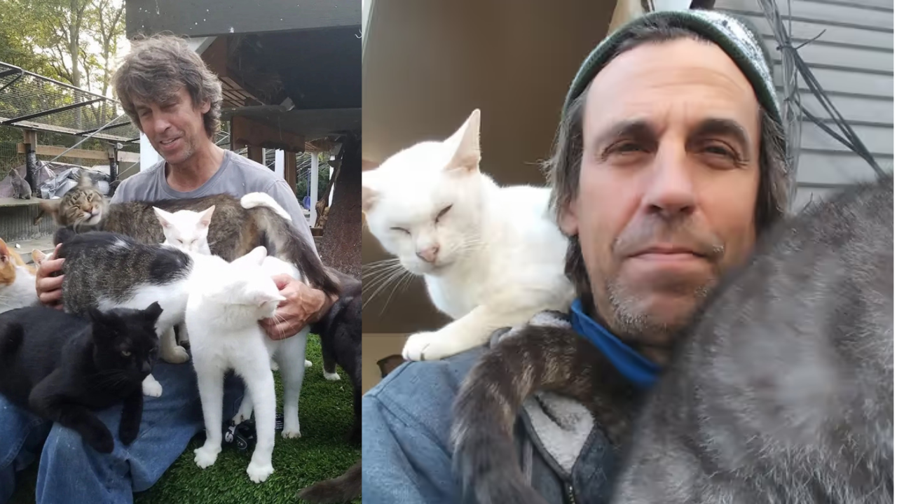 Cat Sanctuary Owner Passes Away In Fire After Attempting to Save Cats, 100 Cats Also Died In Fire