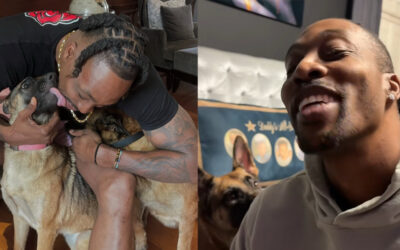 Prayers! Dwight Howard Reveals His Dog Was Killed In Hit-And Run Incident — Demands Justice