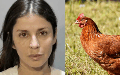 Florida Woman Arrested For Spraying Driver With Bear Mace Over Chicken Incident