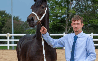 Man Caught Sexually Abusing Horses at Local Stables—Footage Reveals Disturbing Pattern • Hollywood Unlocked