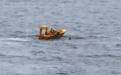 Sheriff’s Office Shuts Down Viral Rumors About Girl Who Fell Off Disney Cruise • Hollywood Unlocked