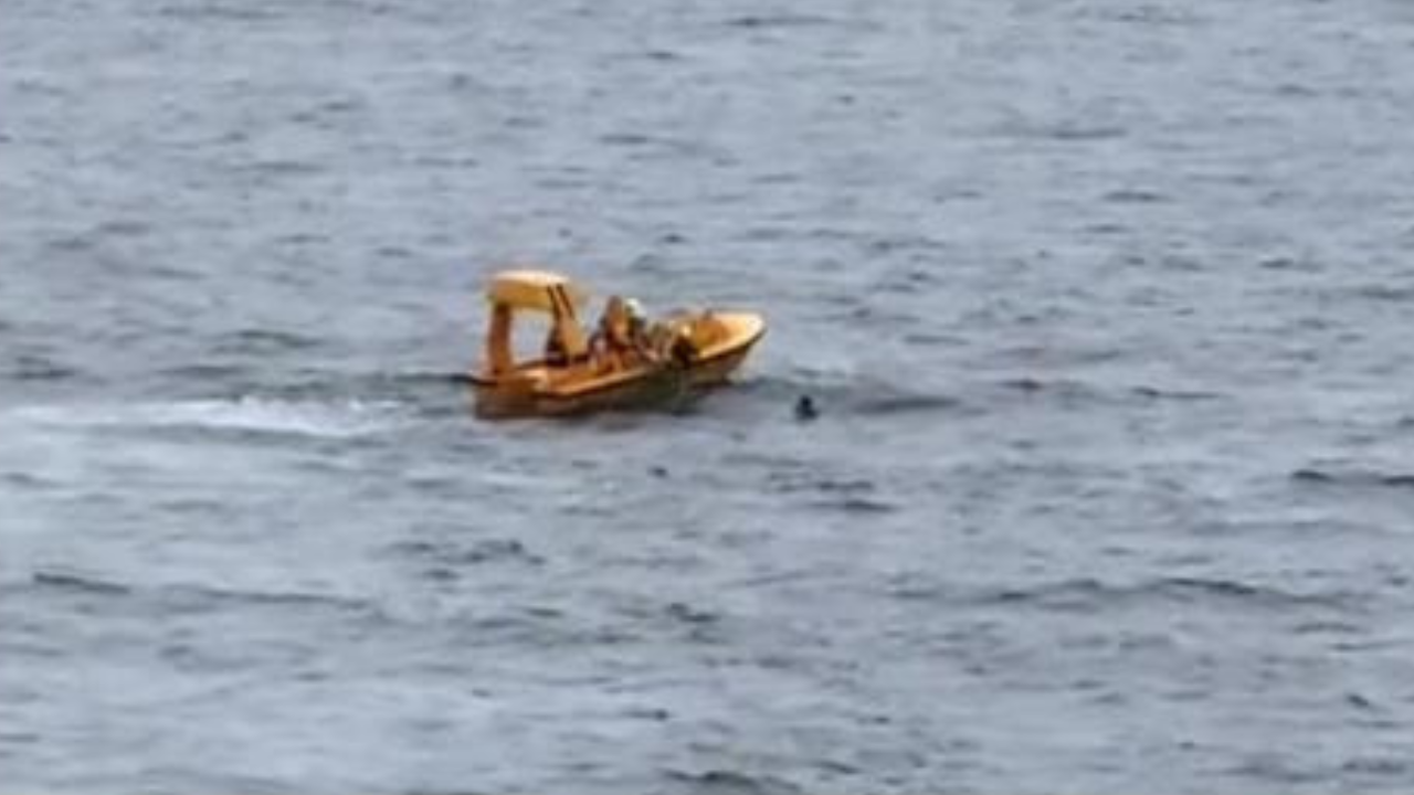 Sheriff’s Office Shuts Down Viral Rumors About Girl Who Fell Off Disney Cruise • Hollywood Unlocked