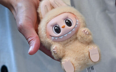 Police Recover $30K Worth of Stolen Labubu Collectibles From California Home • Hollywood Unlocked